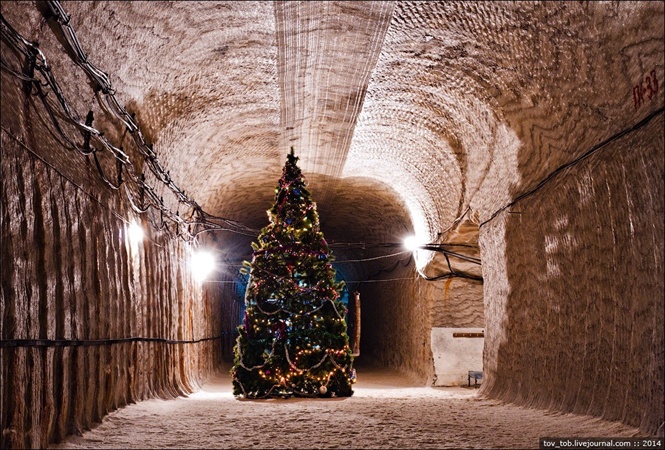 Cây thông Noel lung linh dưới ánh đèn
