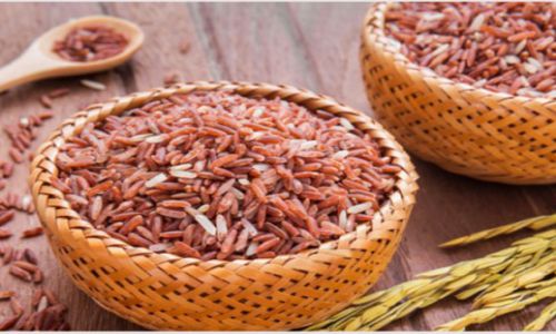 Gạo sạch Thạnh Đạt - an toàn cho sức khỏe vàng